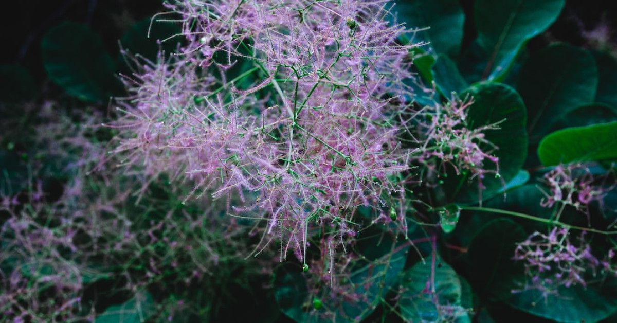 Ten inspirational quotes to brighten your day with joy