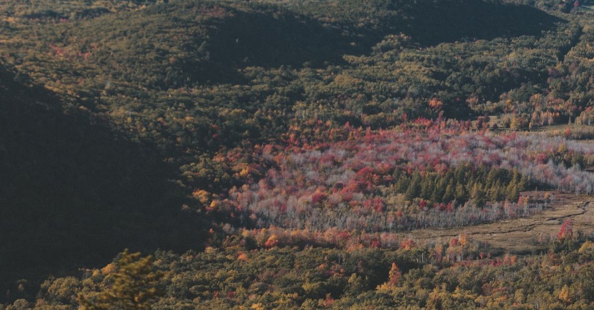 Image: Grateful for God's blessings; Thank you Lord