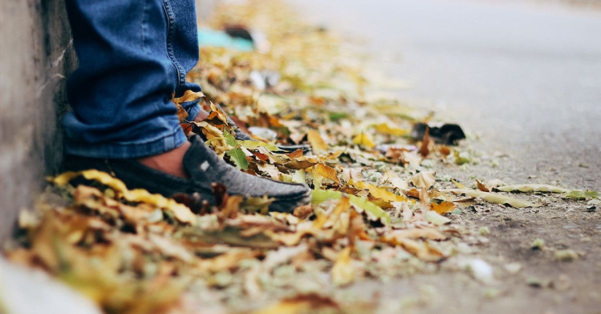 Unlock the Potential of Sailor's Blessing Chart for Success